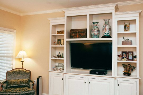 bookcase with tv